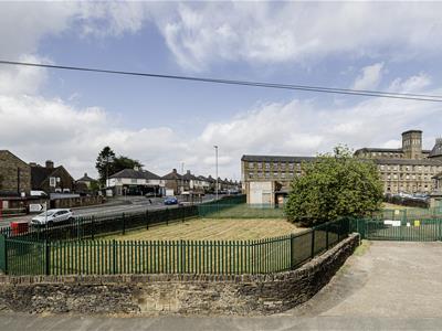 Picture 21